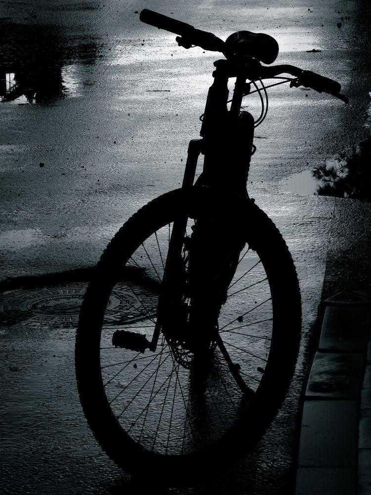 Photograph by Volkan Özdemir