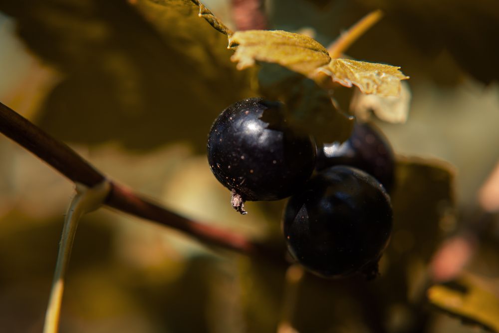 Фотография автора Войнов Дмитрий