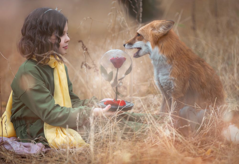 Photograph by Елена Головкина