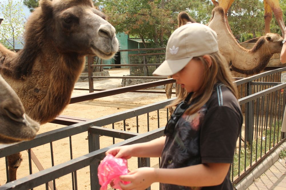 Photograph by Светлана Зотова