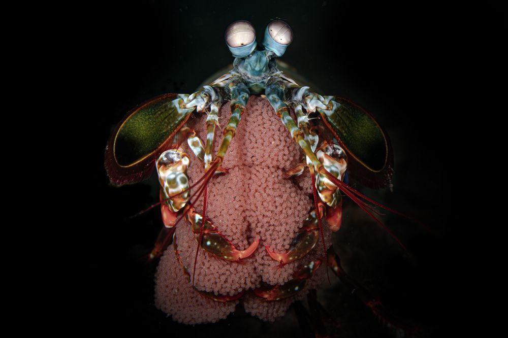 Photograph by Rodrigo Gavilan