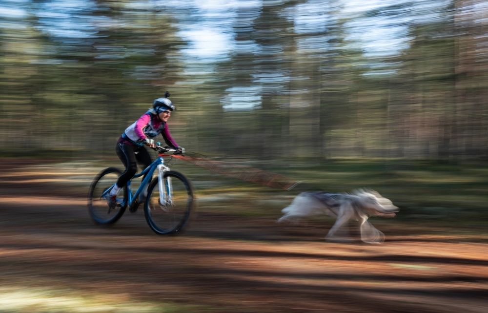 Фотография автора Владимир Коровяковский