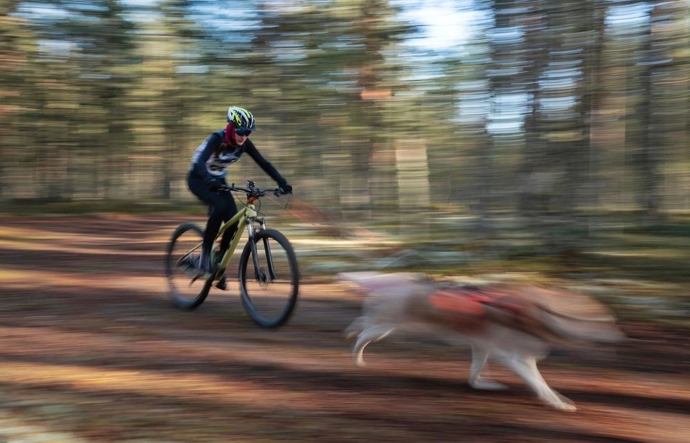 Фотография автора Владимир Коровяковский