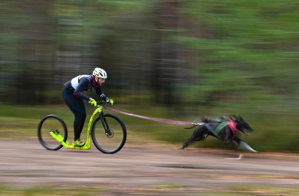 Photograph by Владимир Коровяковский