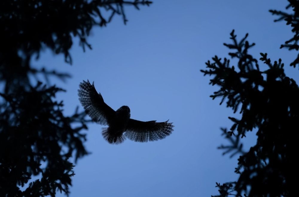 Фотография автора Владимир Коровяковский