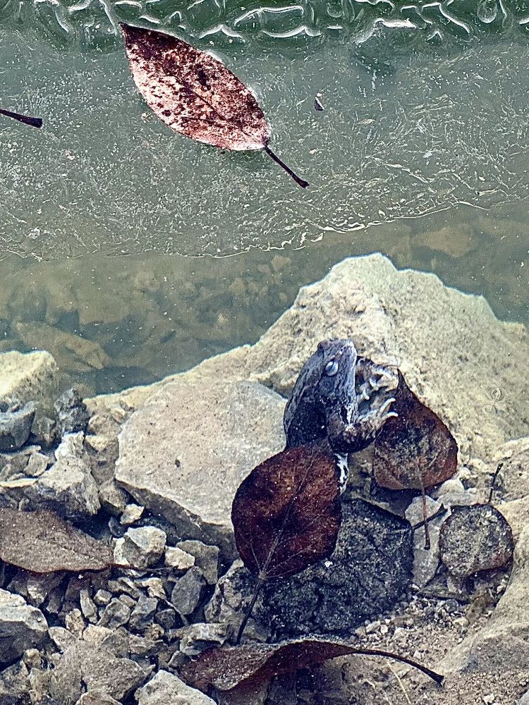 Photograph by Анастасия Конина