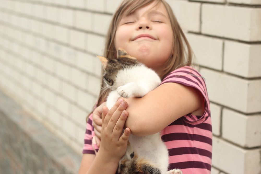 Photograph by Светлана Зотова