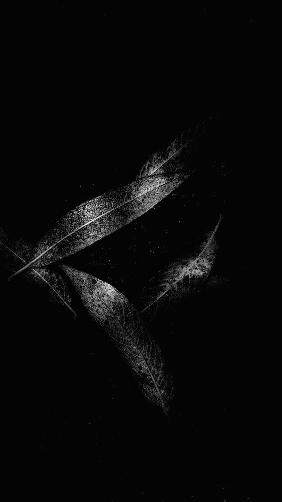 Photograph by Елена Гостева