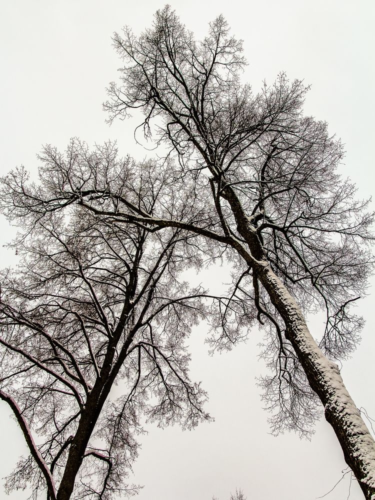 Photograph by Наталья Колеватова