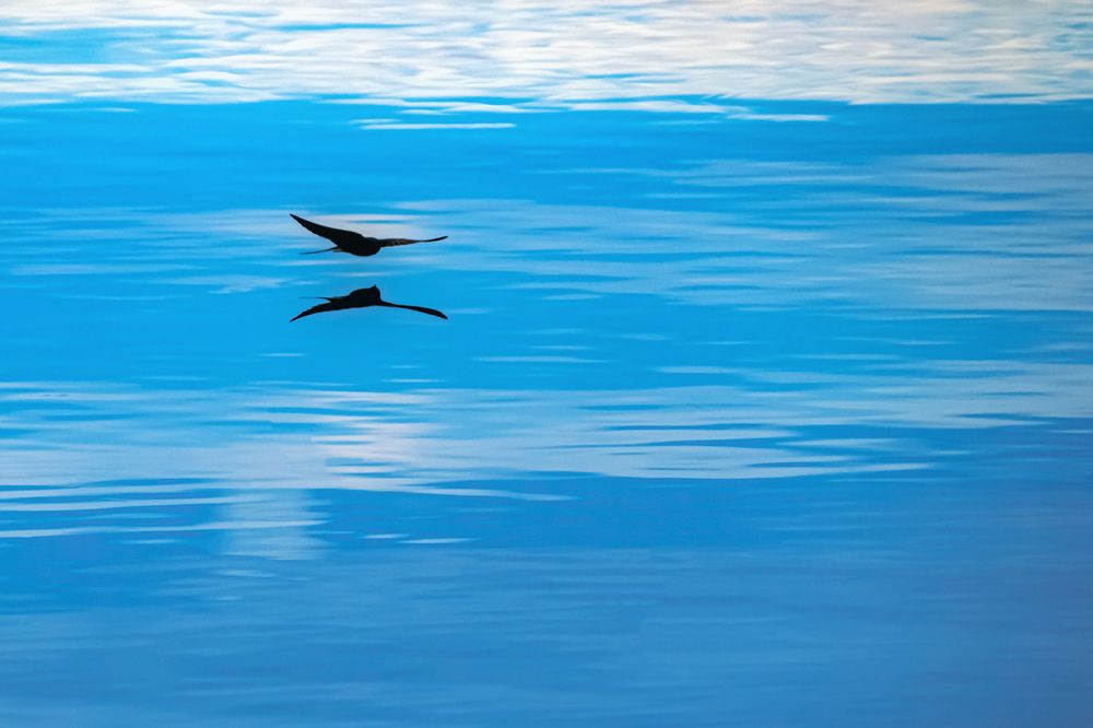 Photograph by Елена Амозова