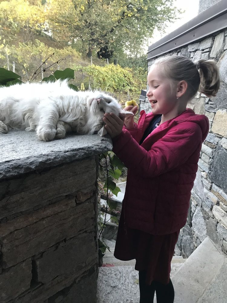 Photograph by Светлана Ионова