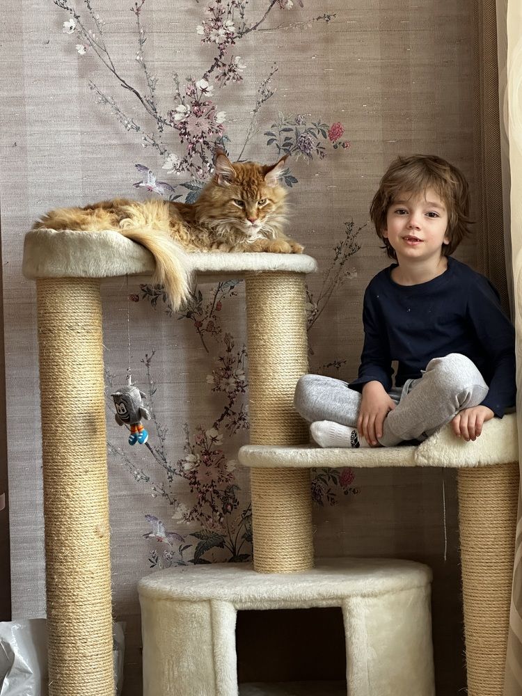 Photograph by Светлана Ионова