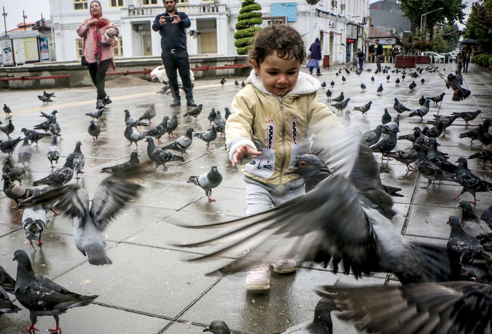 Фотография автора Ghadir Vaghari