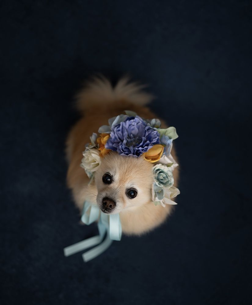 Photograph by Mihaela Zuza