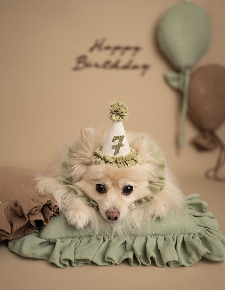 Photograph by Mihaela Zuza