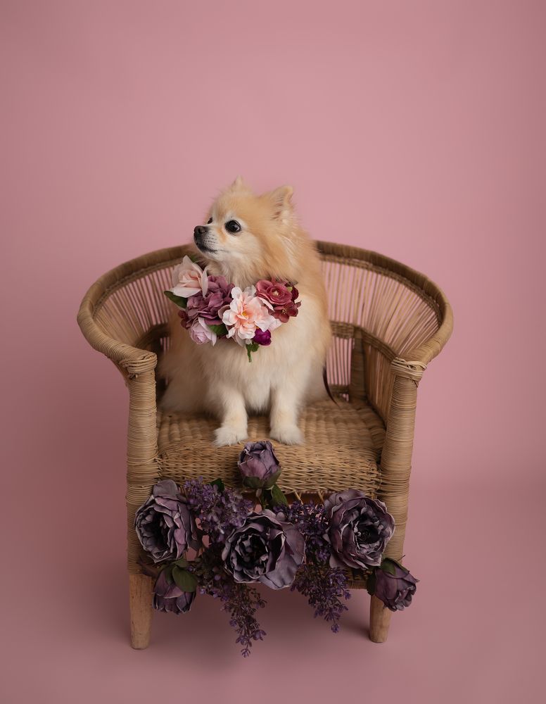 Photograph by Mihaela Zuza