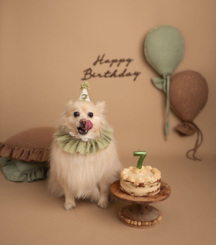 Photograph by Mihaela Zuza