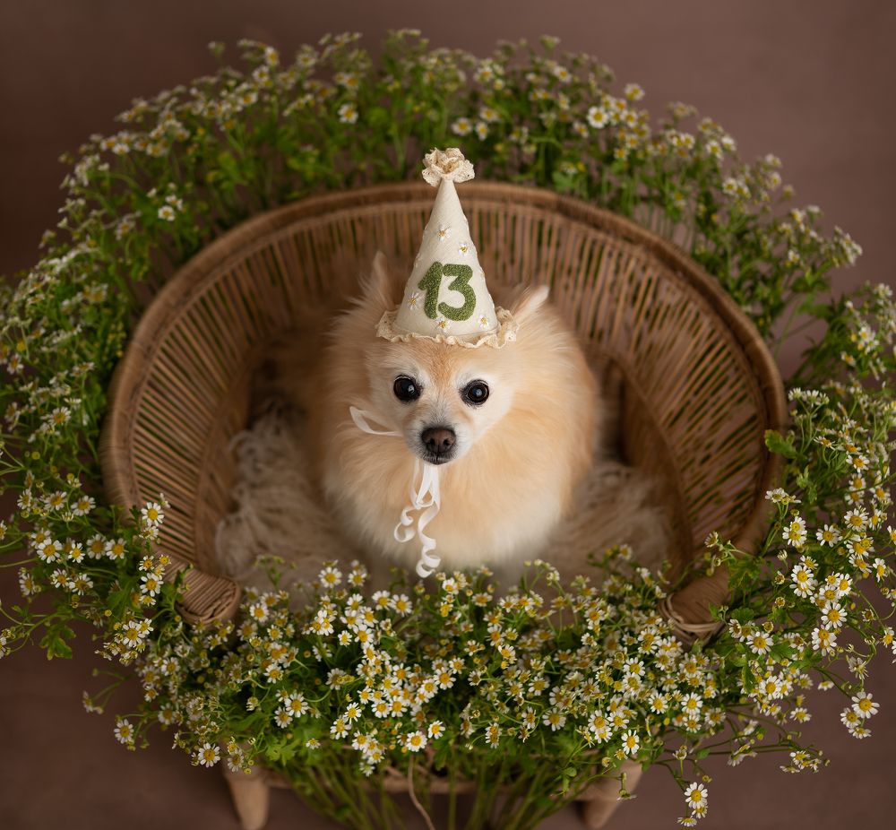 Photograph by Mihaela Zuza