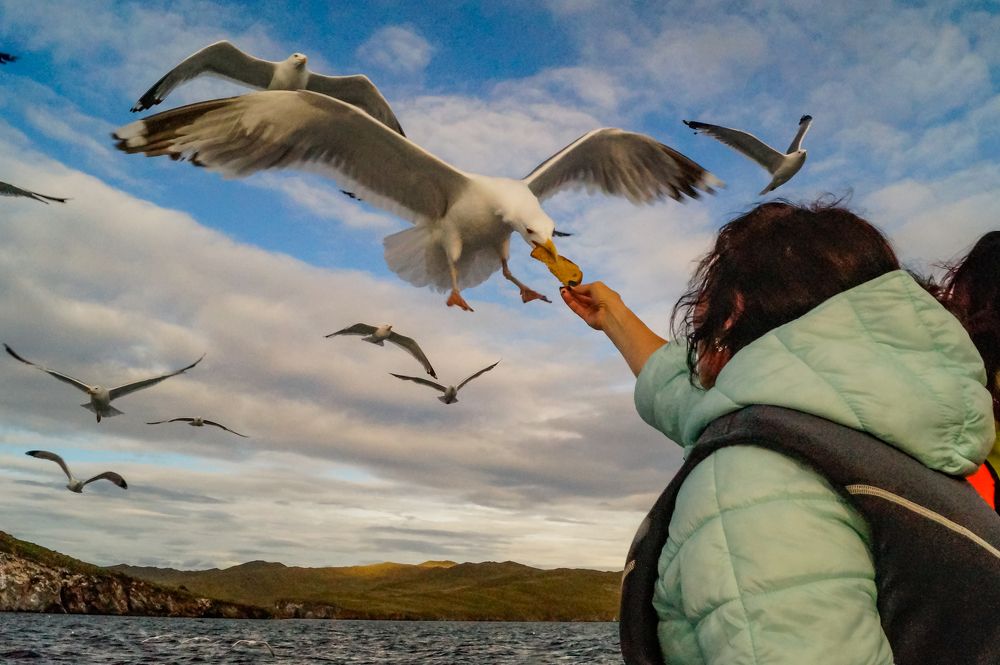 Photograph by Виктор Сёмушкин