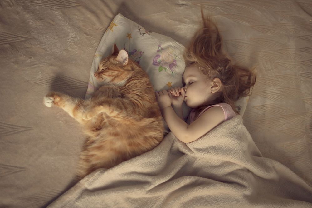 Photograph by Ольга Демидова