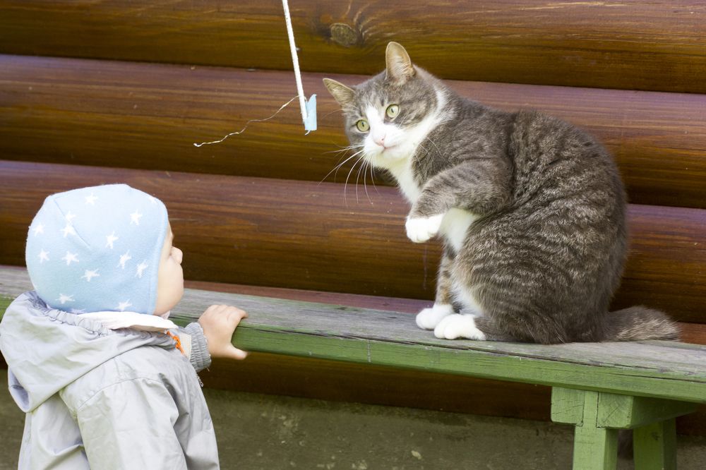 Фотография автора Александр Собокарь