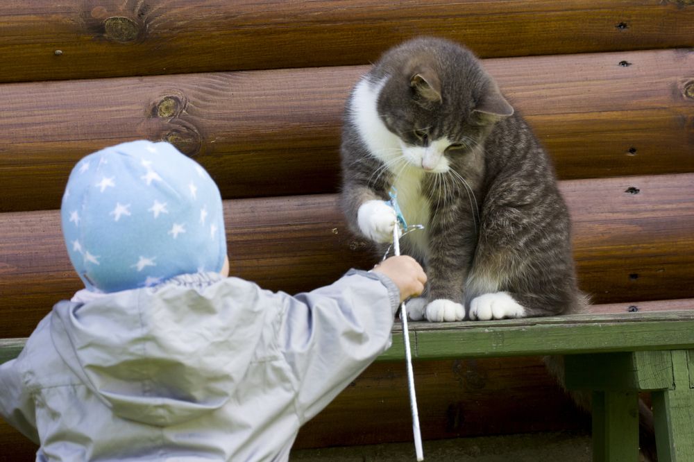 Фотография автора Александр Собокарь
