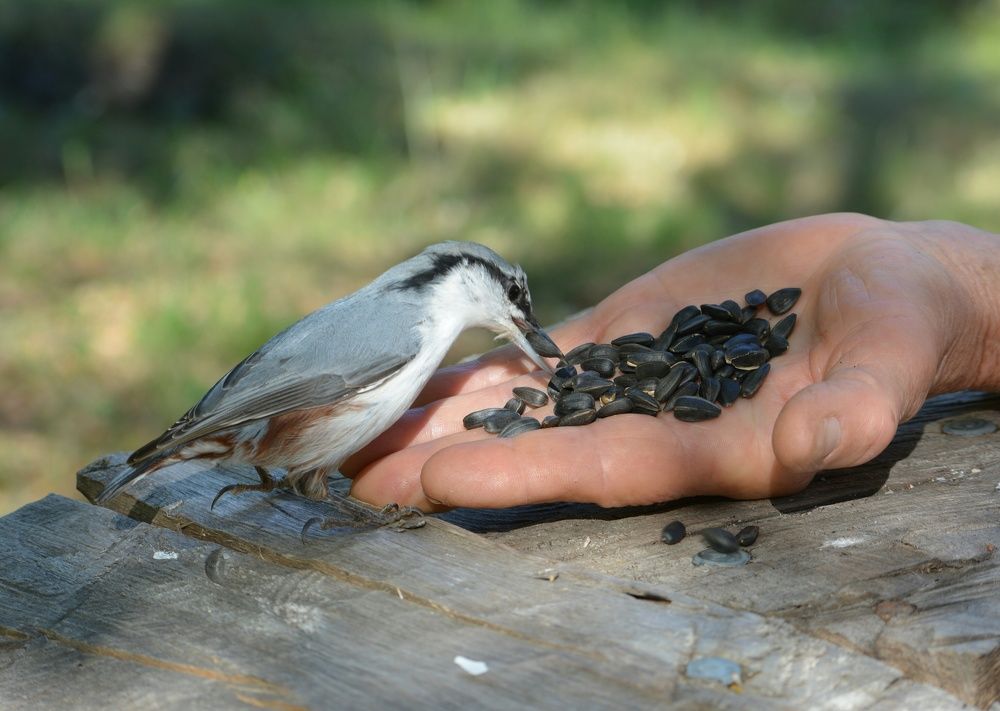 Photograph by Виолетта Клюева