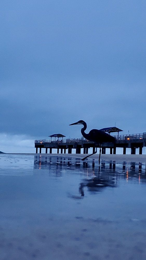 Photograph by Татьяна Пирс