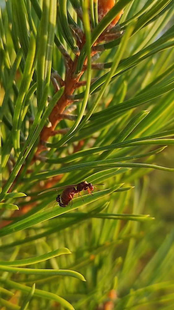 Photograph by Виолетта Клюева