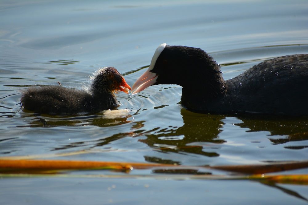 Photograph by Виолетта Клюева