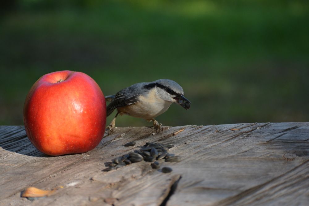 Photograph by Виолетта Клюева