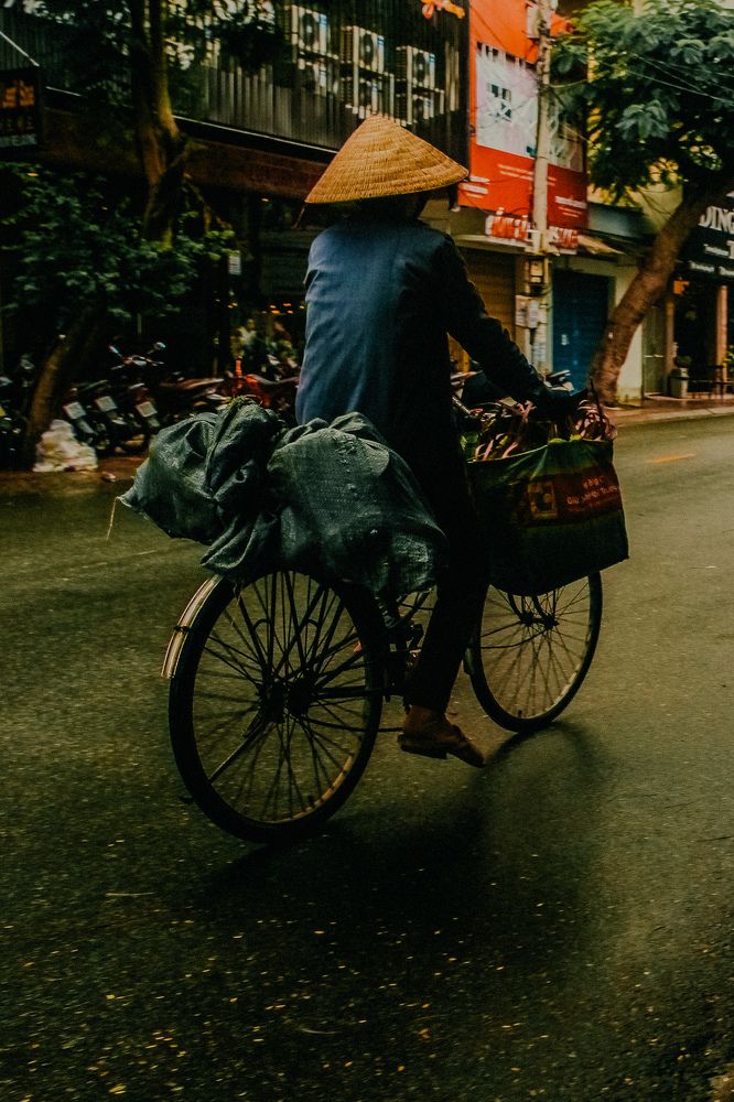 Фотография автора Алиса Исаева