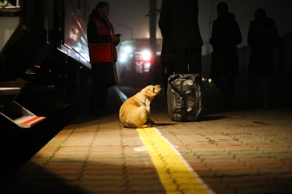 Photograph by Alexey Kovalevskiy