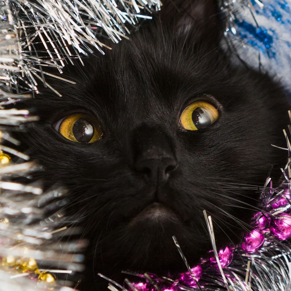 Photograph by Андрей Серый