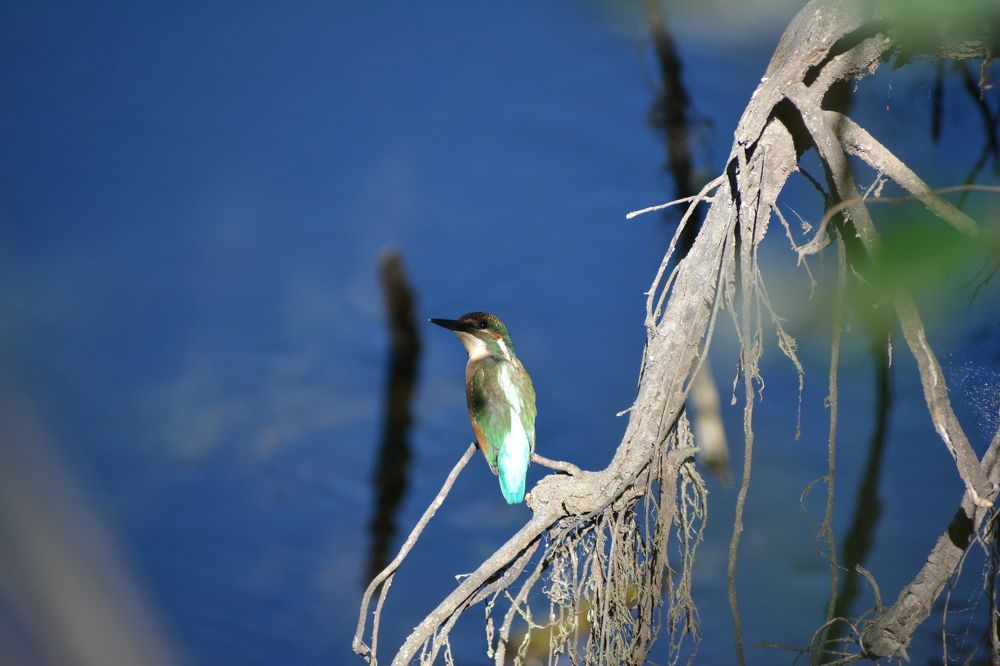 Photograph by Виолетта Клюева