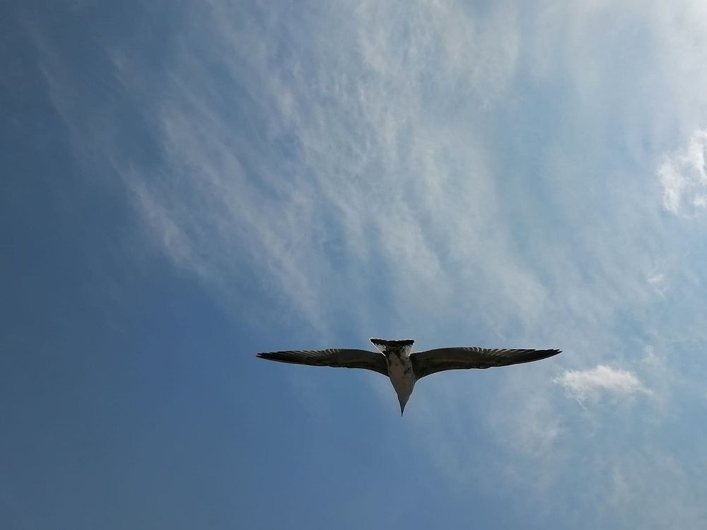 Photograph by Анна Корюшкина