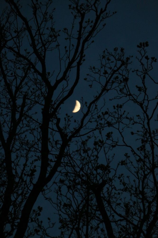 Photograph by Анна Корюшкина