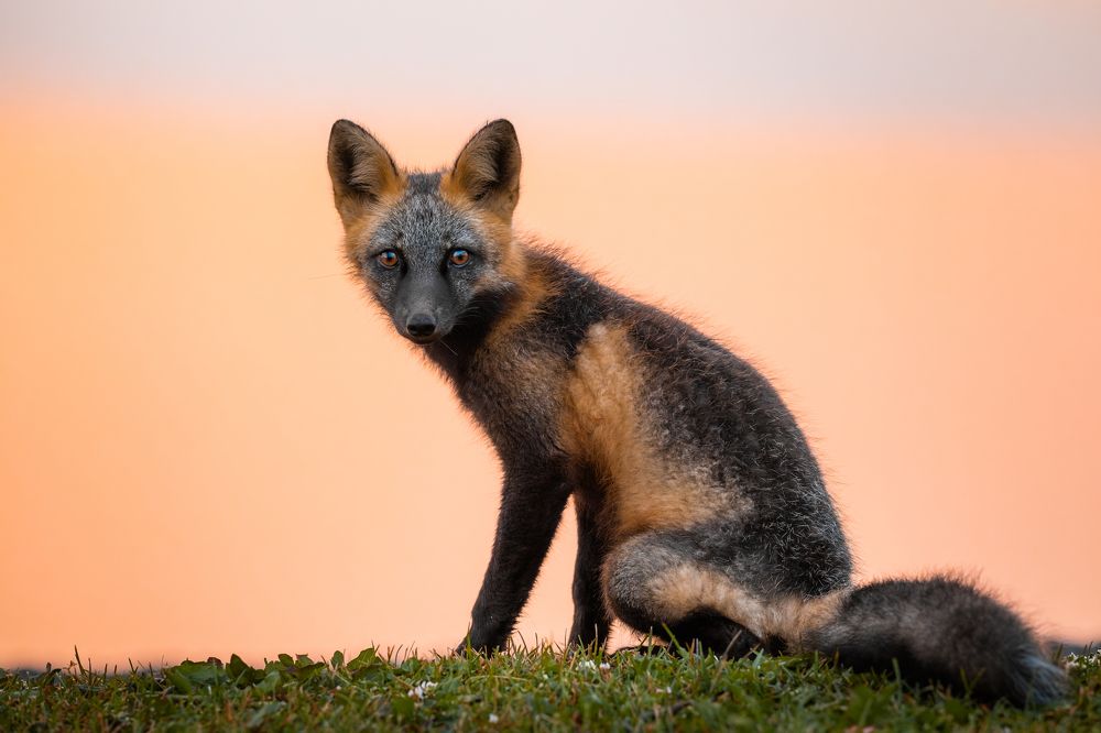 Photograph by Maggie Parise