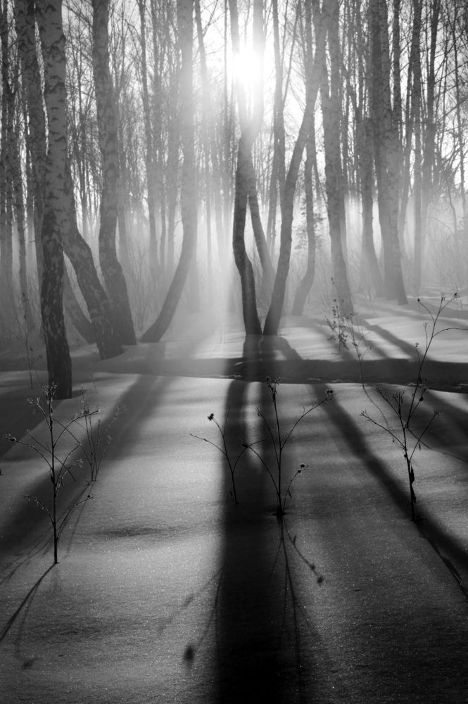 Фотография автора Кухта Мария