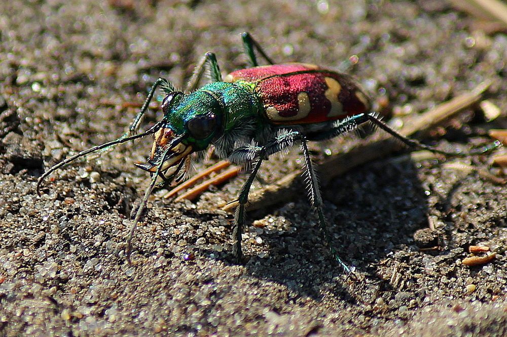 Photograph by Александр Велигура