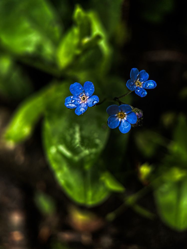 Photograph by Александра Гонтарь