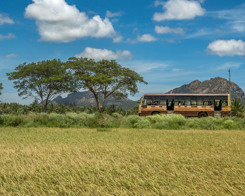 Фотография автора Sakthi chithamparam