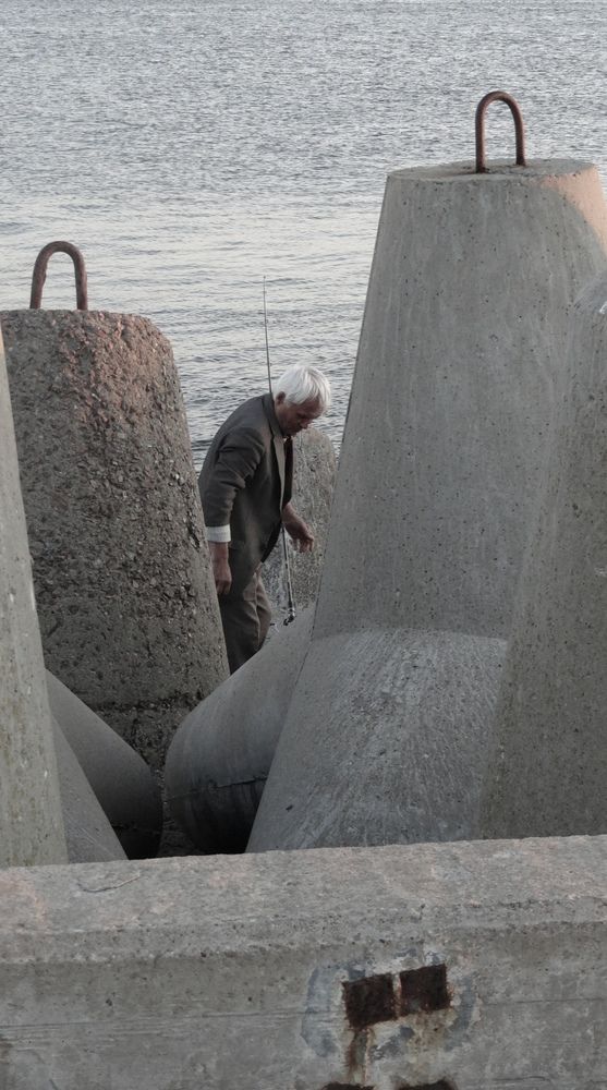 Photo #11335344