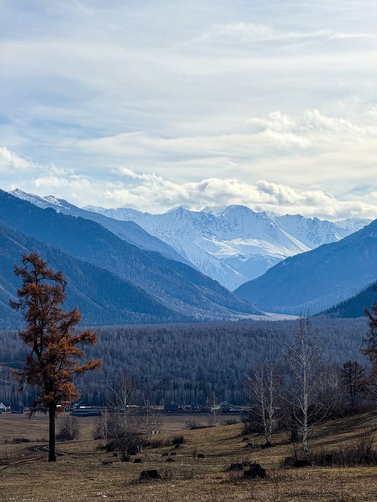 Photograph by Нина Верхотурова