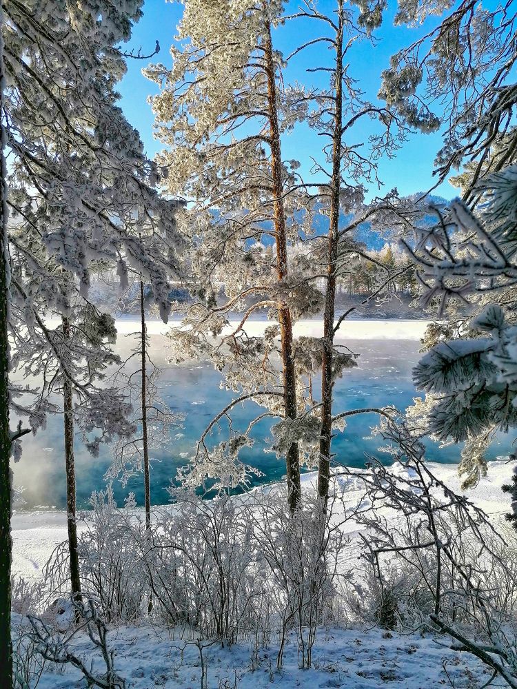 Photograph by Нина Верхотурова