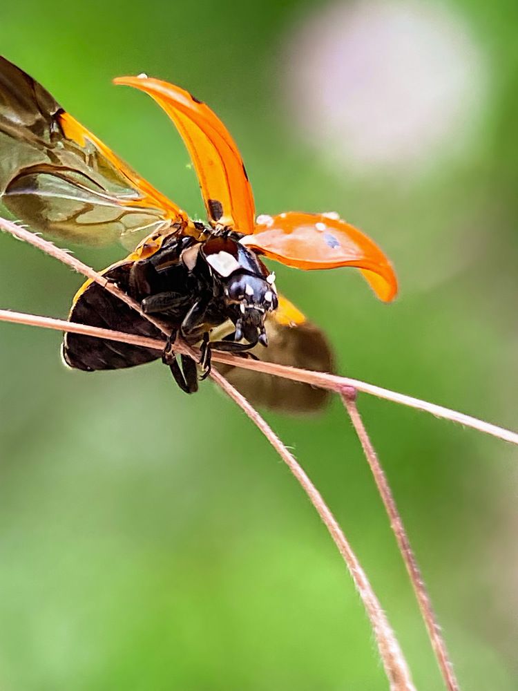 Photograph by Александра Гонтарь