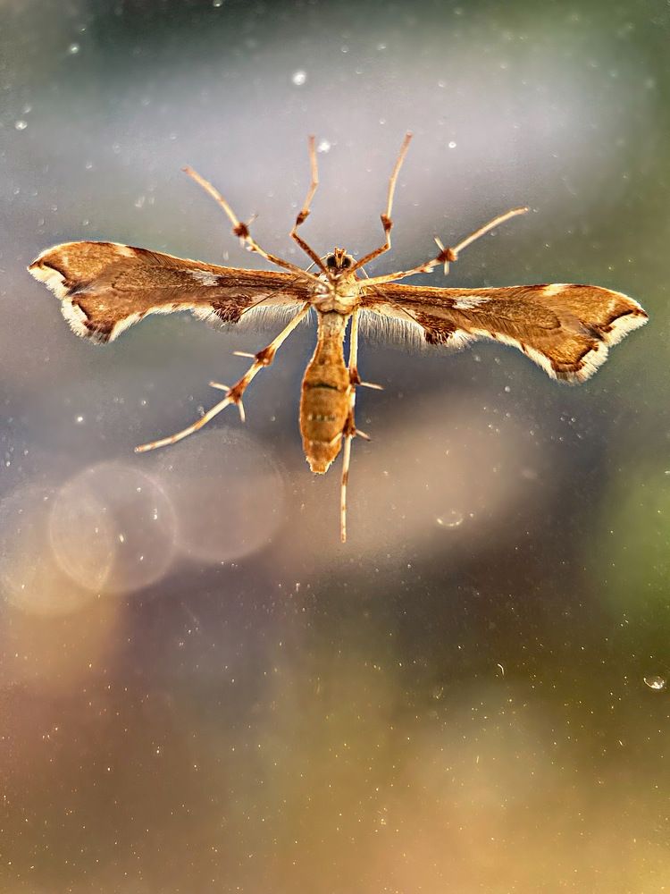 Photograph by Александра Гонтарь