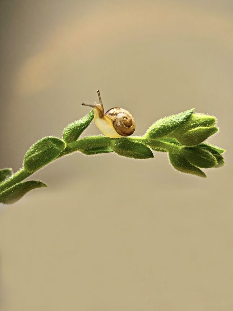 Photograph by Александра Гонтарь