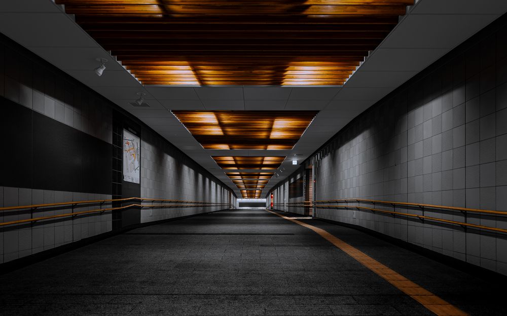 Фотография автора Uesan Aliace