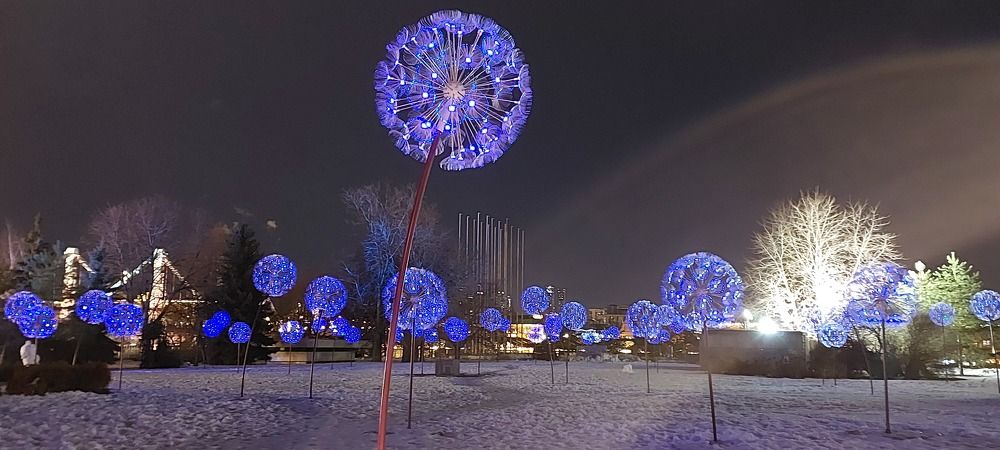 Фотография автора Наталья Владимировна
